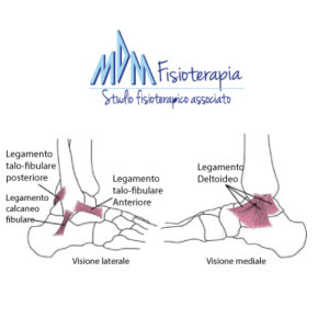 legamenti caviglia