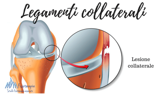 Legamenti collaterali ginocchio