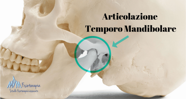 Articolazione temporo mandibolare