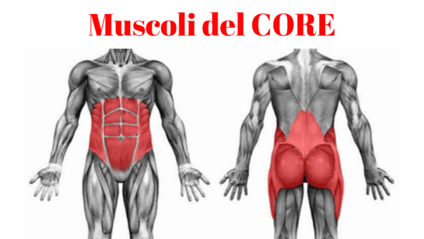 Muscoli del CORE