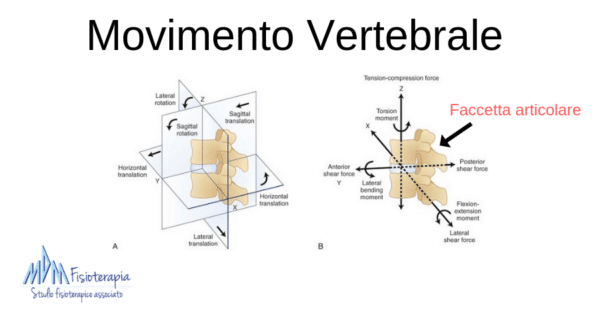 movimento vertebre leggi di fryette