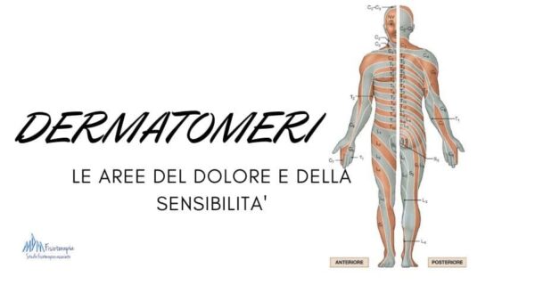 DERMATOMERI