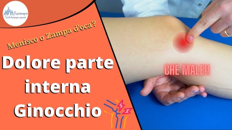 Dolore alla parte interna ginocchio | Menisco o Zampa d’oca?